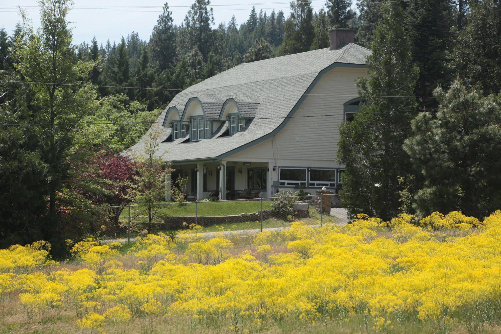 Mount Shasta Ranch Bed And Breakfast Extérieur photo